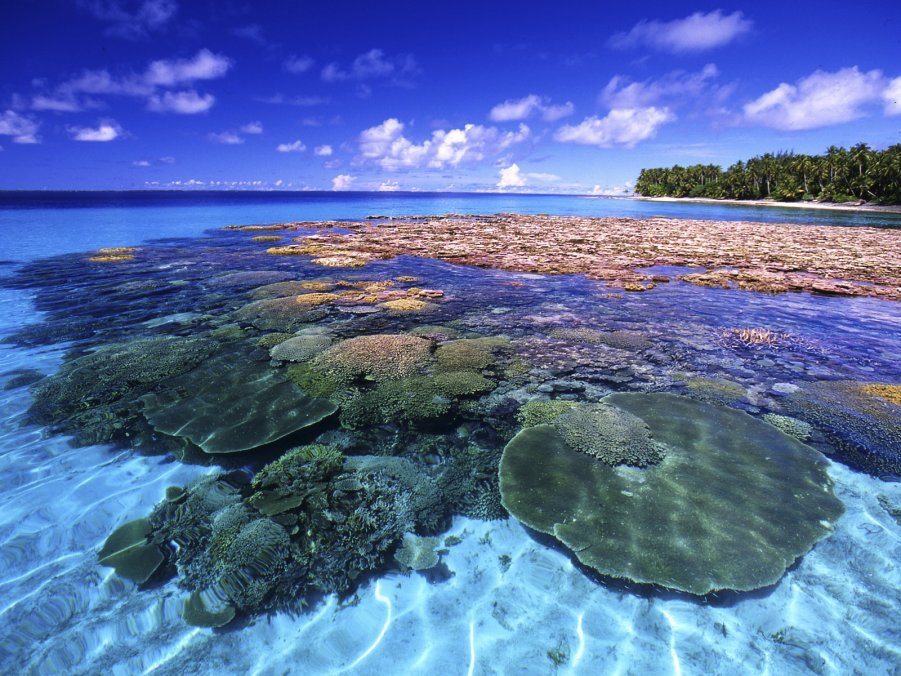 Коралловые рифы на Маршалловых островах